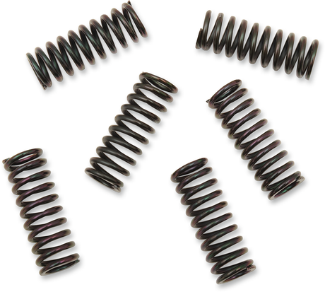 Clutch Spring Kit 2001 - 2023