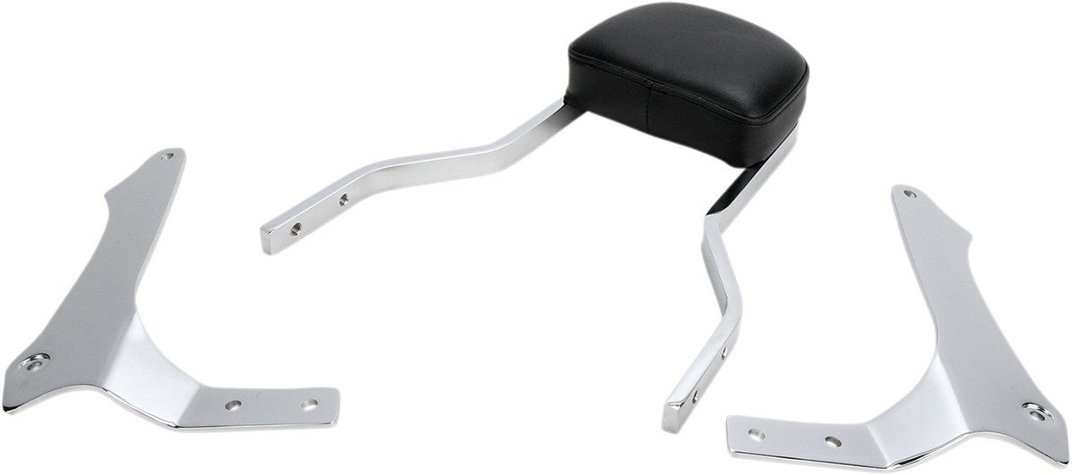 Sissy Bar - Short - Raider 2008 - 2016