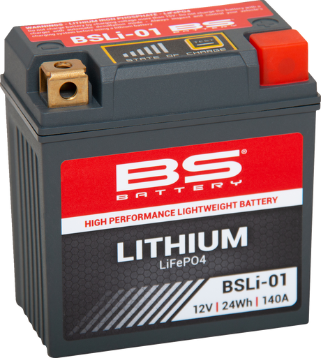 Lithium Battery - BSLi-01 2016 - 2023