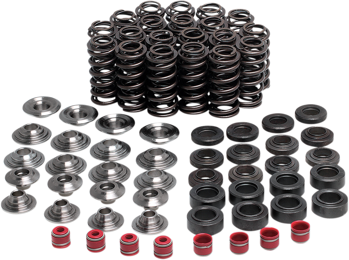 Valve Spring Kit 1998 - 2003