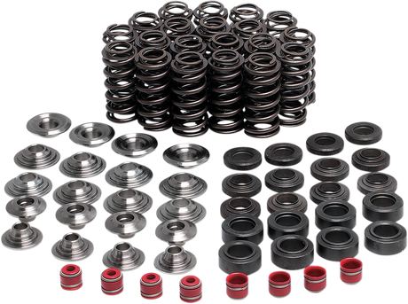 Valve Spring Kit 1998 - 2003