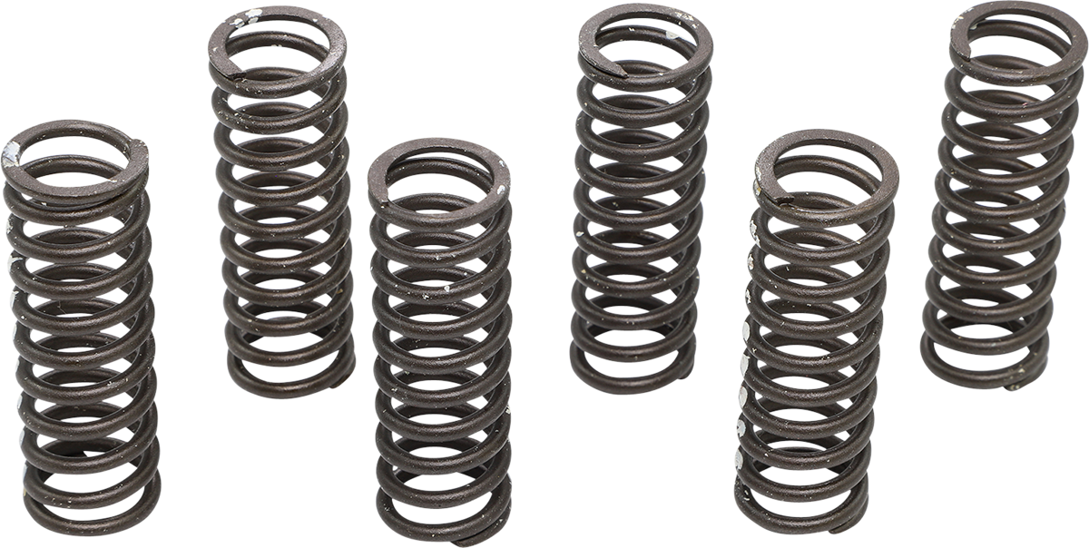 Clutch Spring Set 2003 - 2016