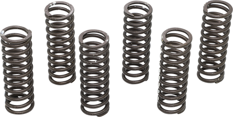 Clutch Spring Set 2003 - 2016