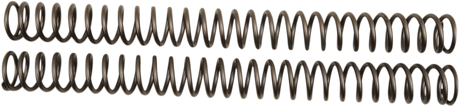 Front Fork Springs - 0.53 kg/mm 2007 - 2023