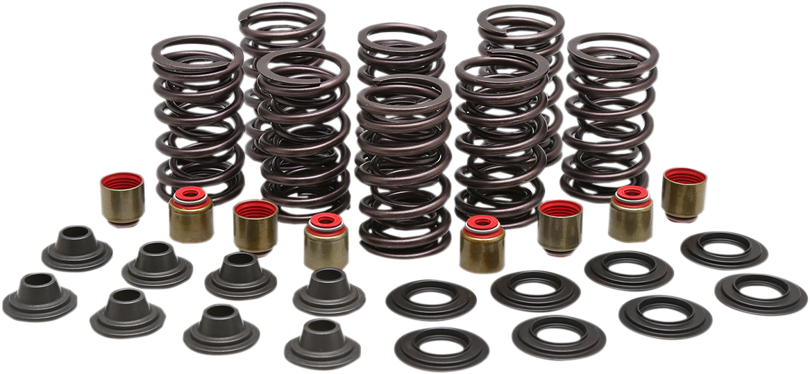 Valve Spring Kit 2013 - 2020