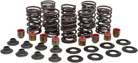 Valve Spring Kit 2013 - 2020