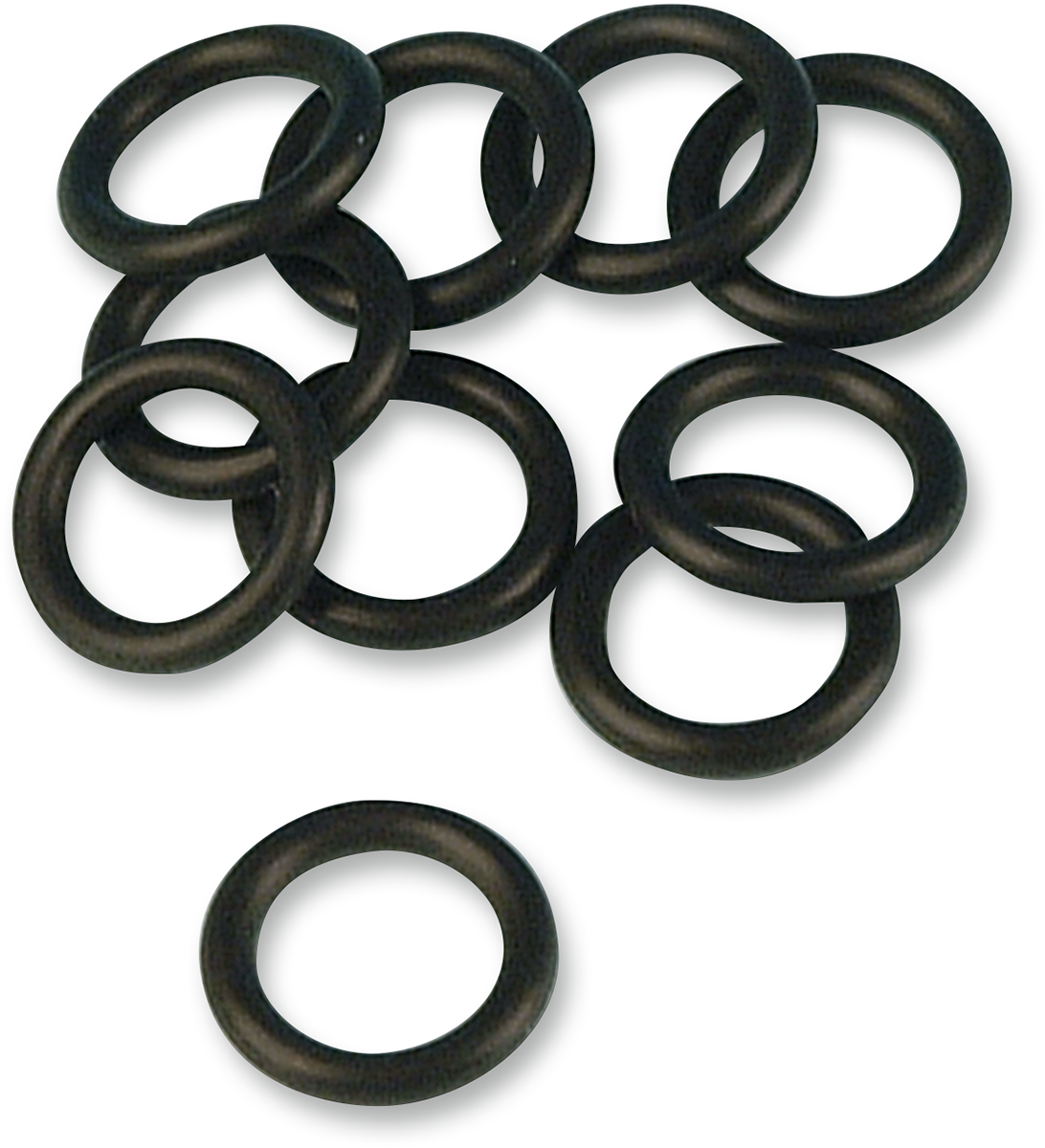 Check Valve O-Ring 1995 - 1999