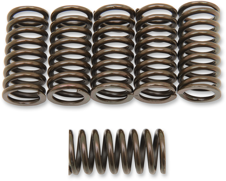 Clutch Spring Set 1998 - 2005