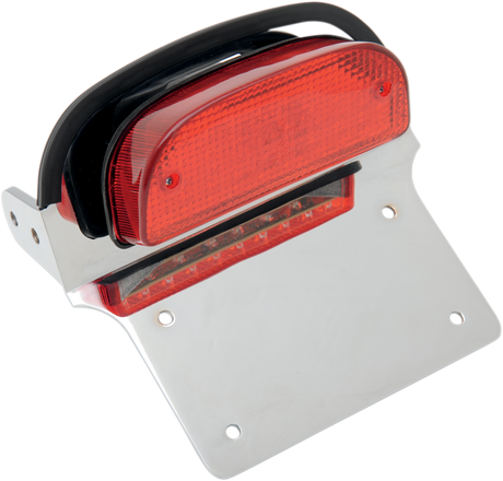 Taillight/License Plate Assembly - Harley Davidson 2006 - 2011