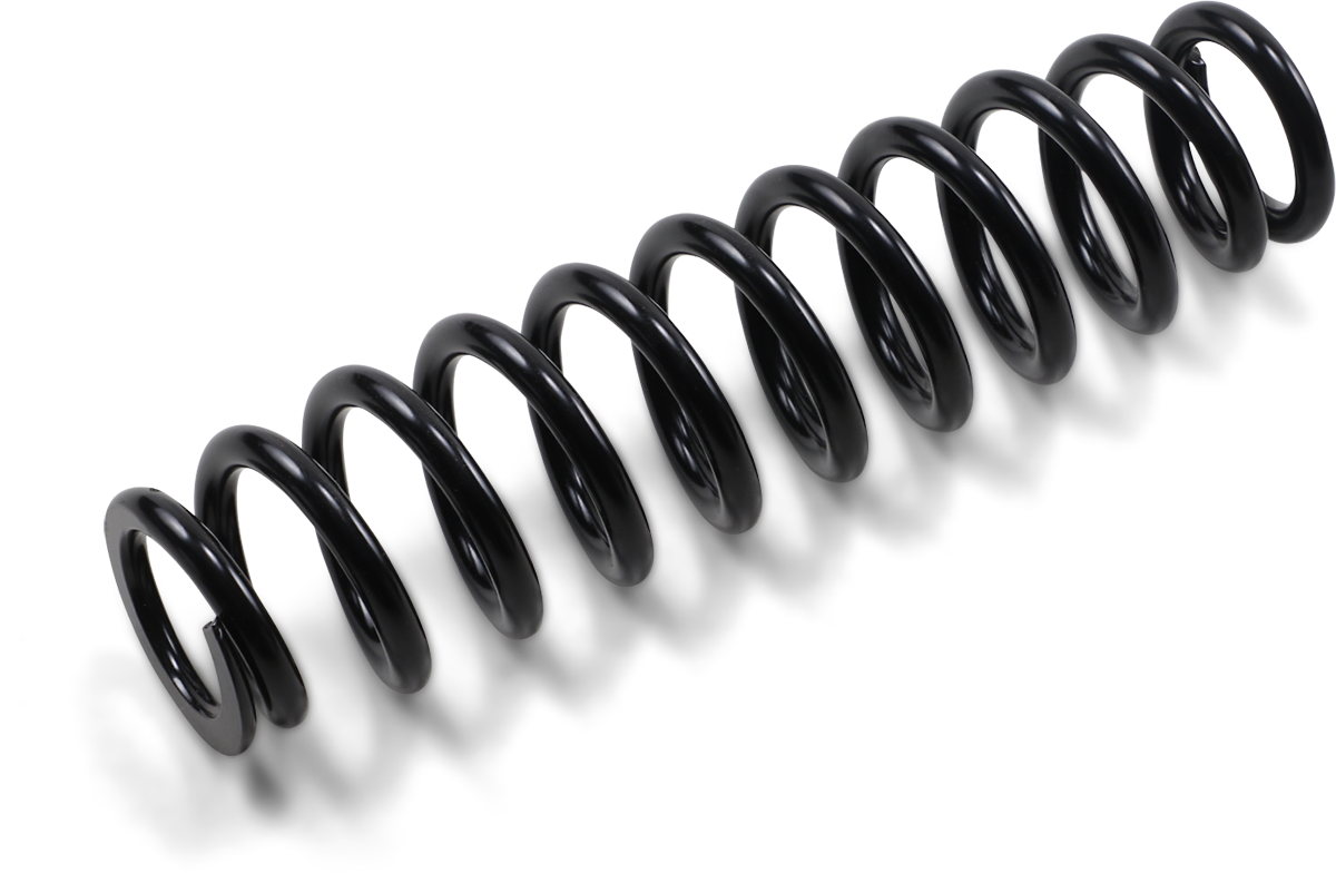 Front Spring - Heavy Duty - Black - Spring Rate 250 lbs/in 2016 - 2021