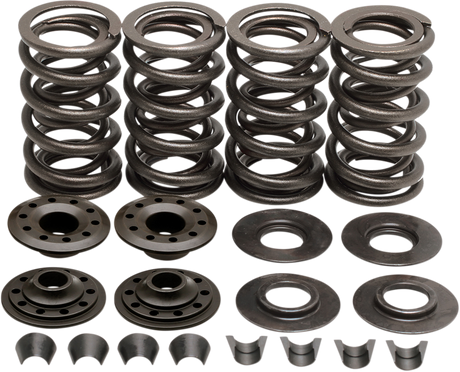 Valve Spring Kit - Big Twin 1984 - 2004