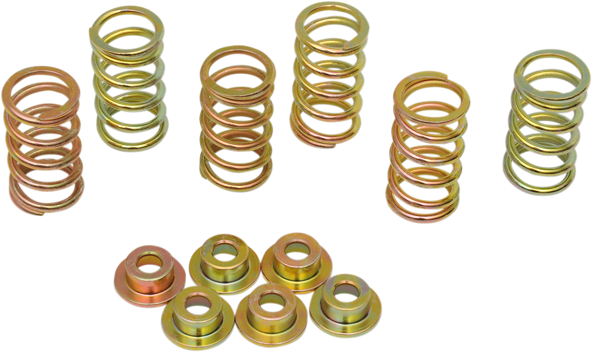 Clutch Spring Kit 1994 - 2008