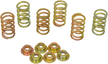 Clutch Spring Kit 1994 - 2008