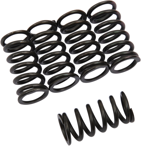 Clutch Springs 1986 - 2019