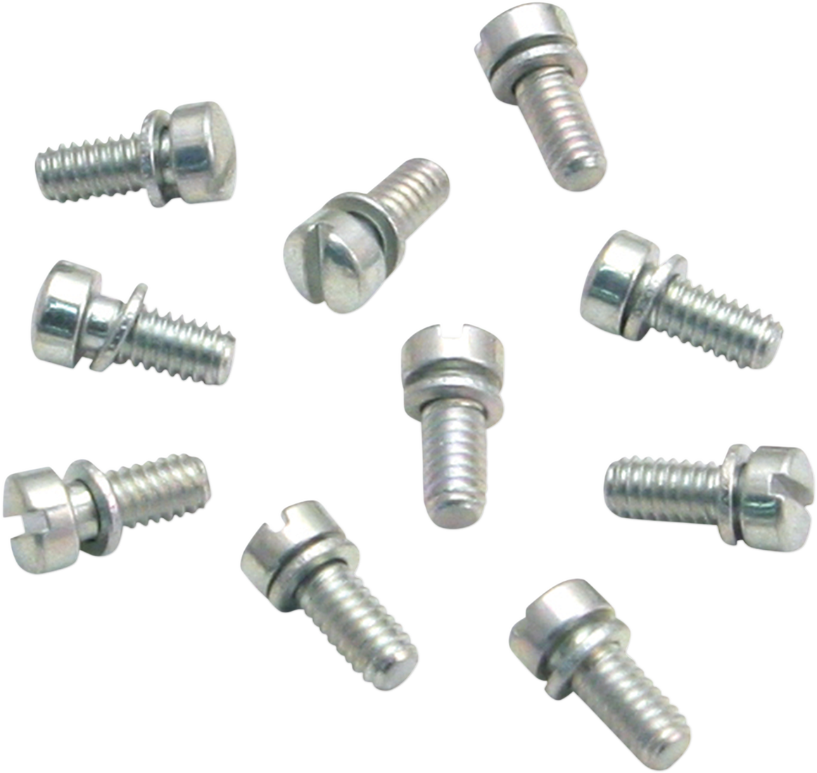 Slotted Round Head Screws - 10-Pack