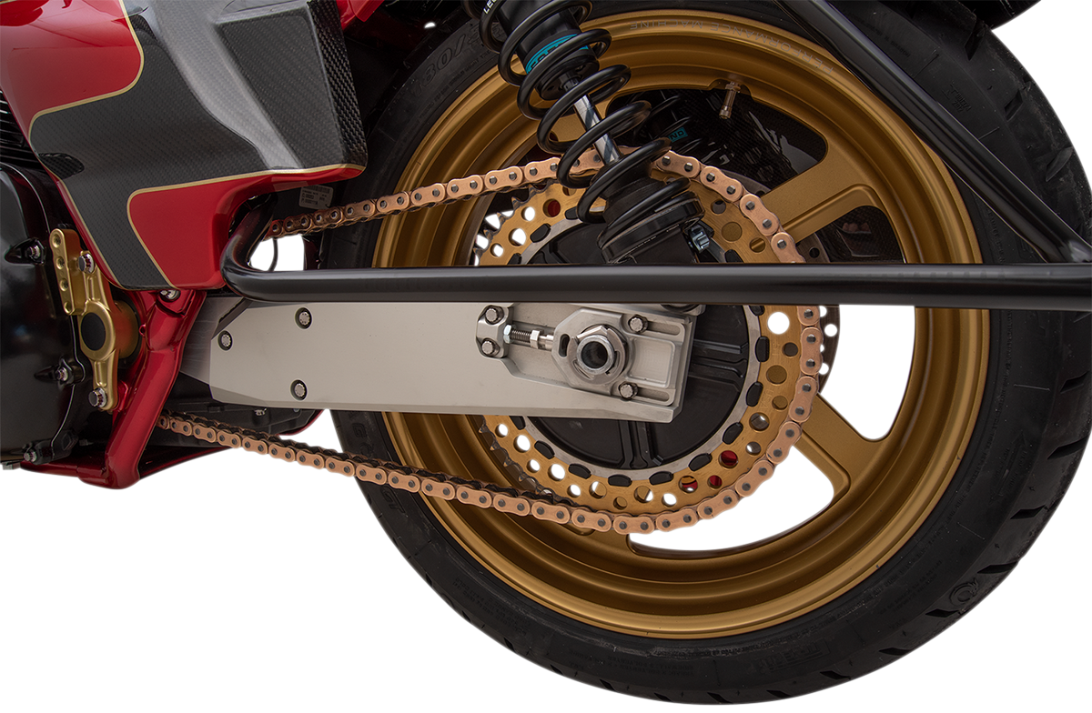 Swingarm - The Swinger 2009 - 2019