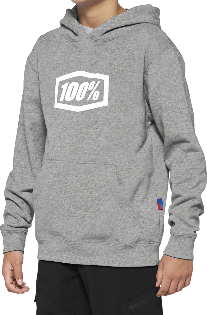 Youth Icon Hoodie - Gray - Large