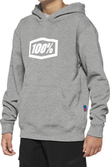 Youth Icon Hoodie - Gray - Large