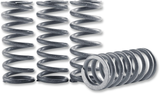 Clutch Spring Kit 1998 - 2022