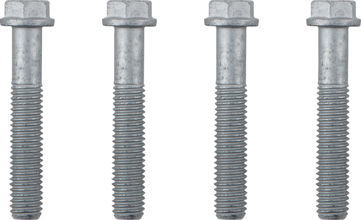 Screw Set - PHDS