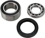 Chain Case Bearing and Seal Kit 2005 - 2006