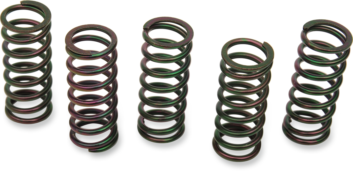 Clutch Springs 1998 - 2014