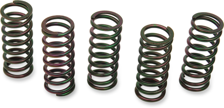 Clutch Springs 1998 - 2014