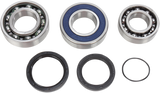 Chain Case Bearing and Seal Kit 2007 - 2009