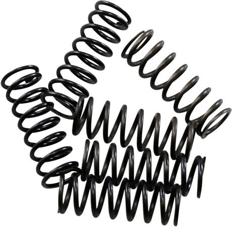 Clutch Spring Kit 2017 - 2022