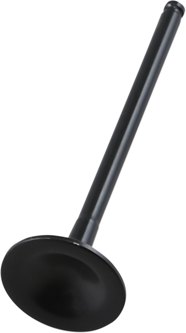 Exhaust Valve 2019 - 2020