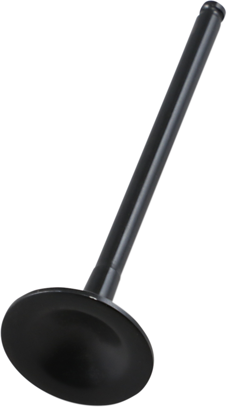 Exhaust Valve 2019 - 2020