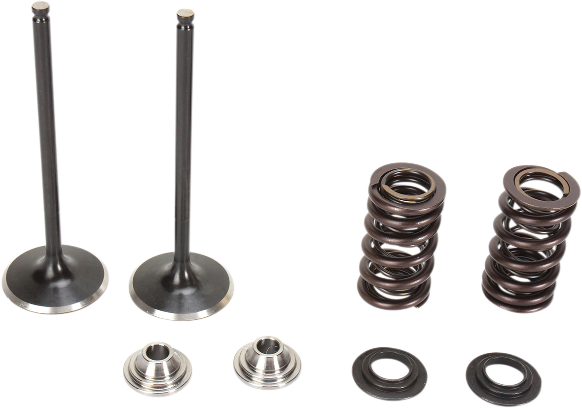 Valve Spring Kit 2013 - 2016