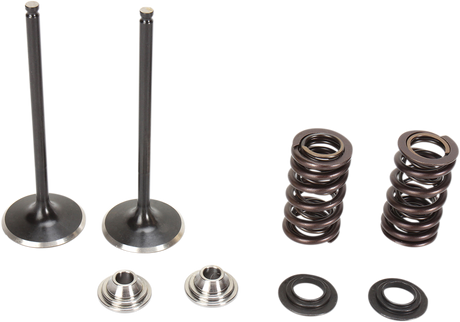 Valve Spring Kit 2013 - 2016