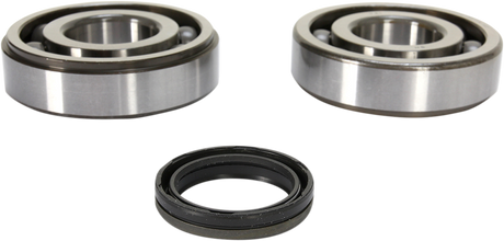 Crank Bearing and Seal Kit - Suzuki 2007 - 2009