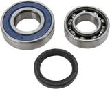 Chain Case Bearing and Seal Kit 2008 - 2010