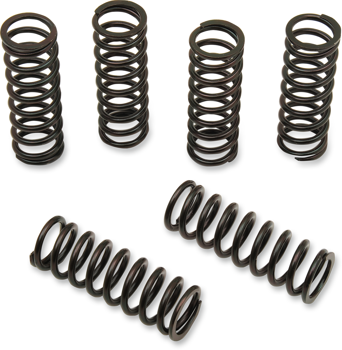 Clutch Spring Kit 2002 - 2022