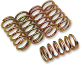 Clutch Spring Kit 1985 - 2022