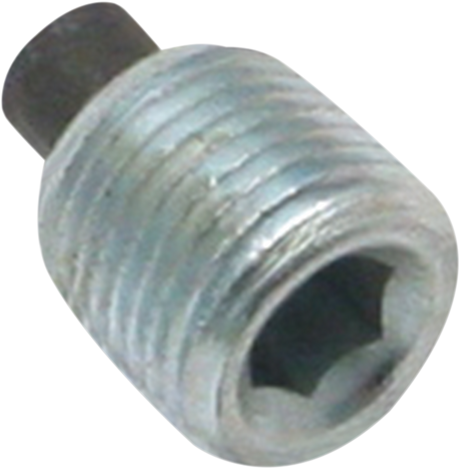 Magnetic Plug - 1/8\" NPT