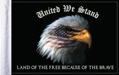 United We Stand Flag - 6\" x 9\"