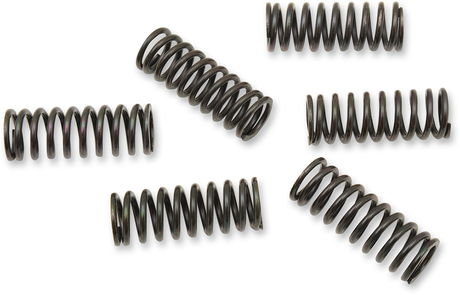 Clutch Spring Kit 2005 - 2012