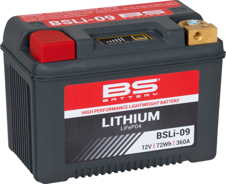 Lithium Battery - BSLi-09 1984 - 2023