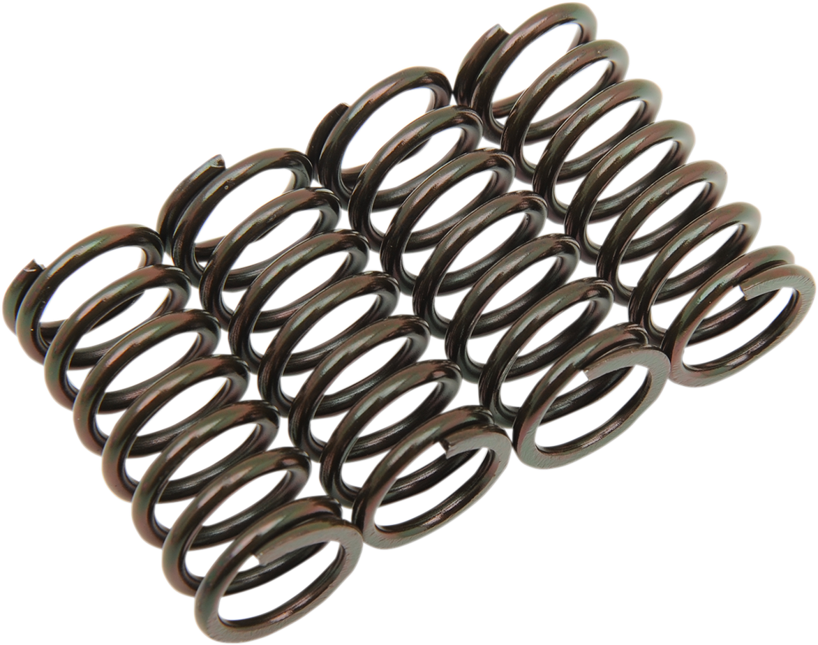 Clutch Spring Set 1988 - 2020