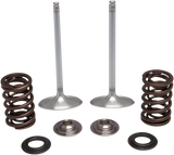 Intake Valve Kit 2017 - 2019