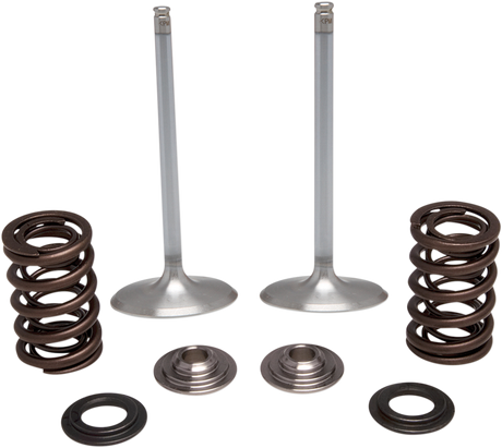 Intake Valve Kit 2017 - 2019