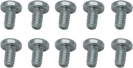 Throttle Plate Screws - 10-Pack