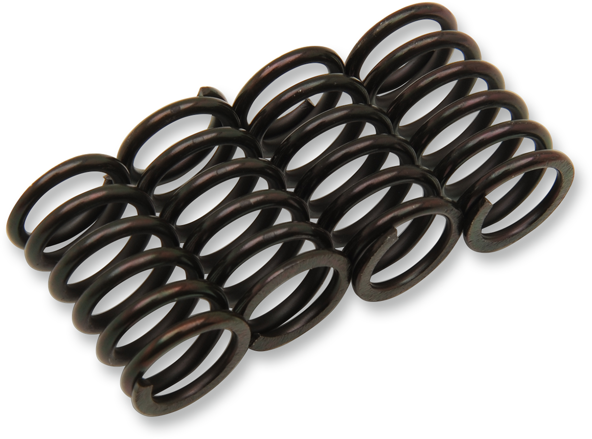 Clutch Spring Kit 1993 - 2003