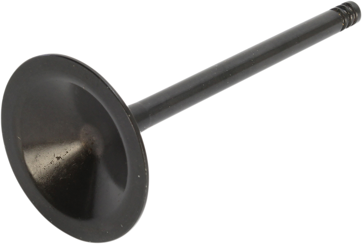 Intake Valve - 1200 XL 2004 - 2022