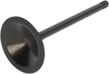 Intake Valve - 1200 XL 2004 - 2022