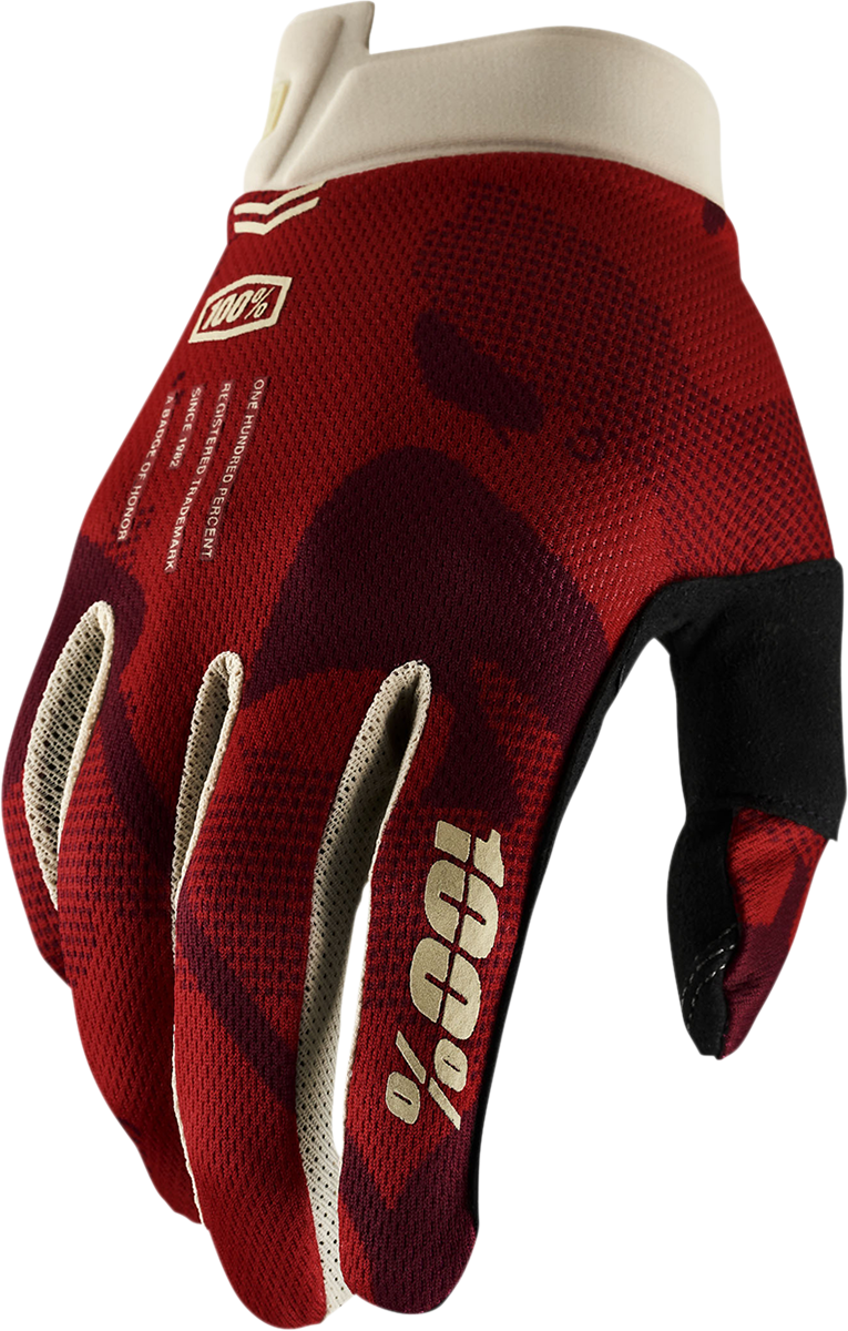 iTrack Gloves - Terra - XL