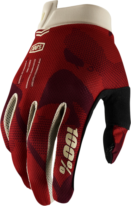 iTrack Gloves - Terra - Small